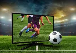 博彩与个人财务风险（赌博与个人经济风险）