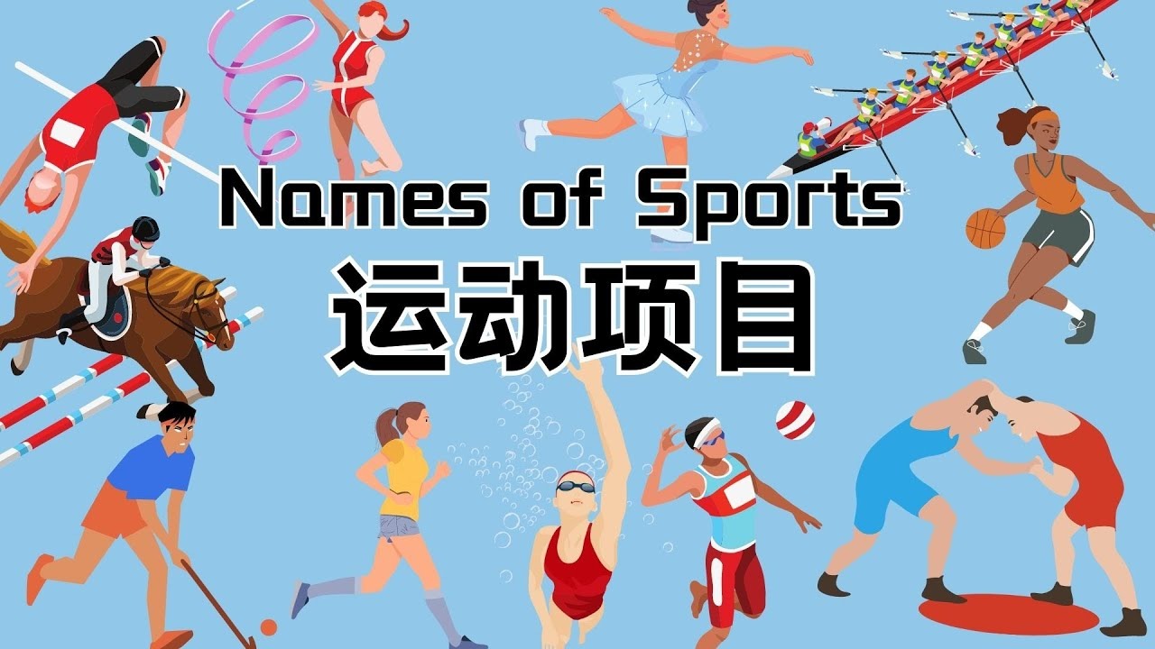 英超第10轮比赛，桑德兰主场1-1战平埃弗顿。